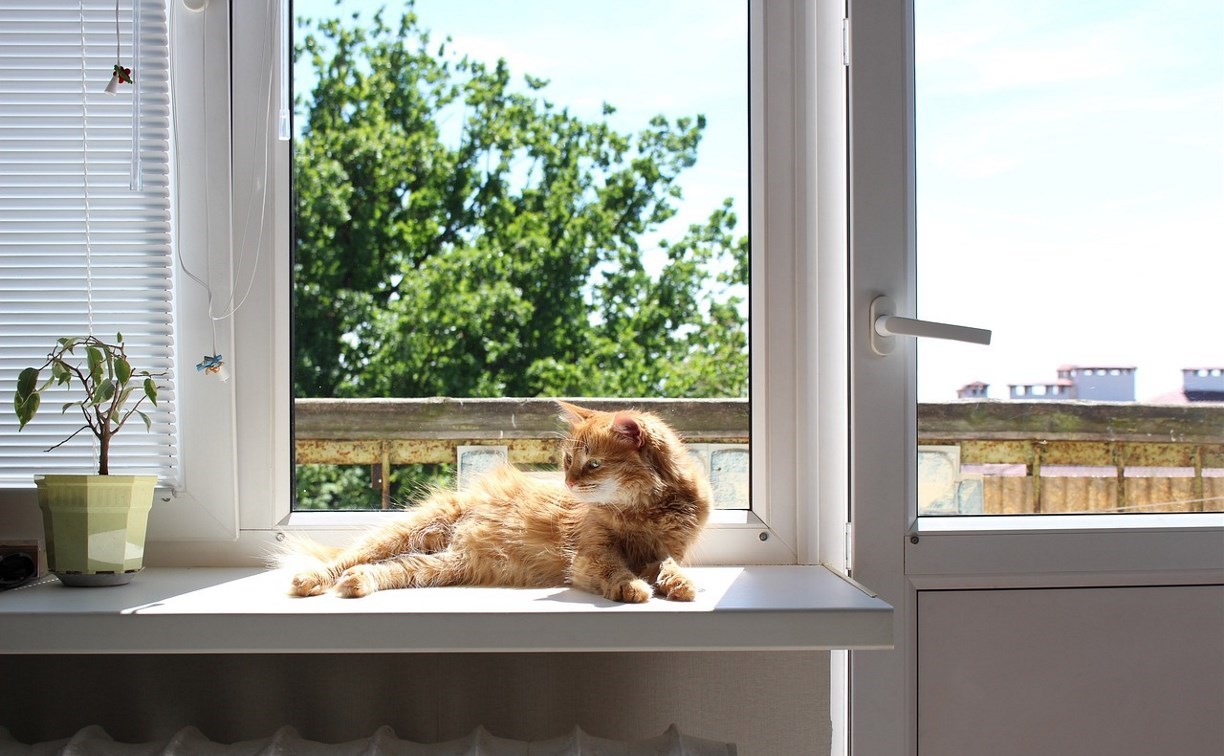 В этом году майские праздники будут самыми короткими за 8 лет