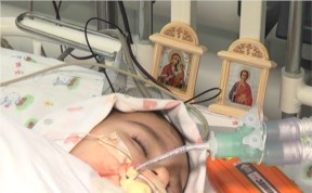 Общество