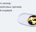Билайн запустил решение, избавляющее одной кнопкой от массовых рекламных звонков