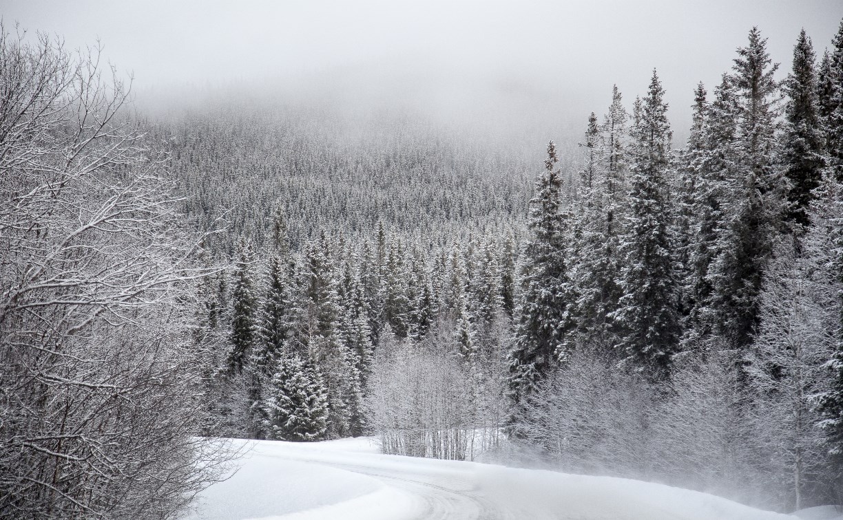 Все дороги на Сахалине открыли после метели