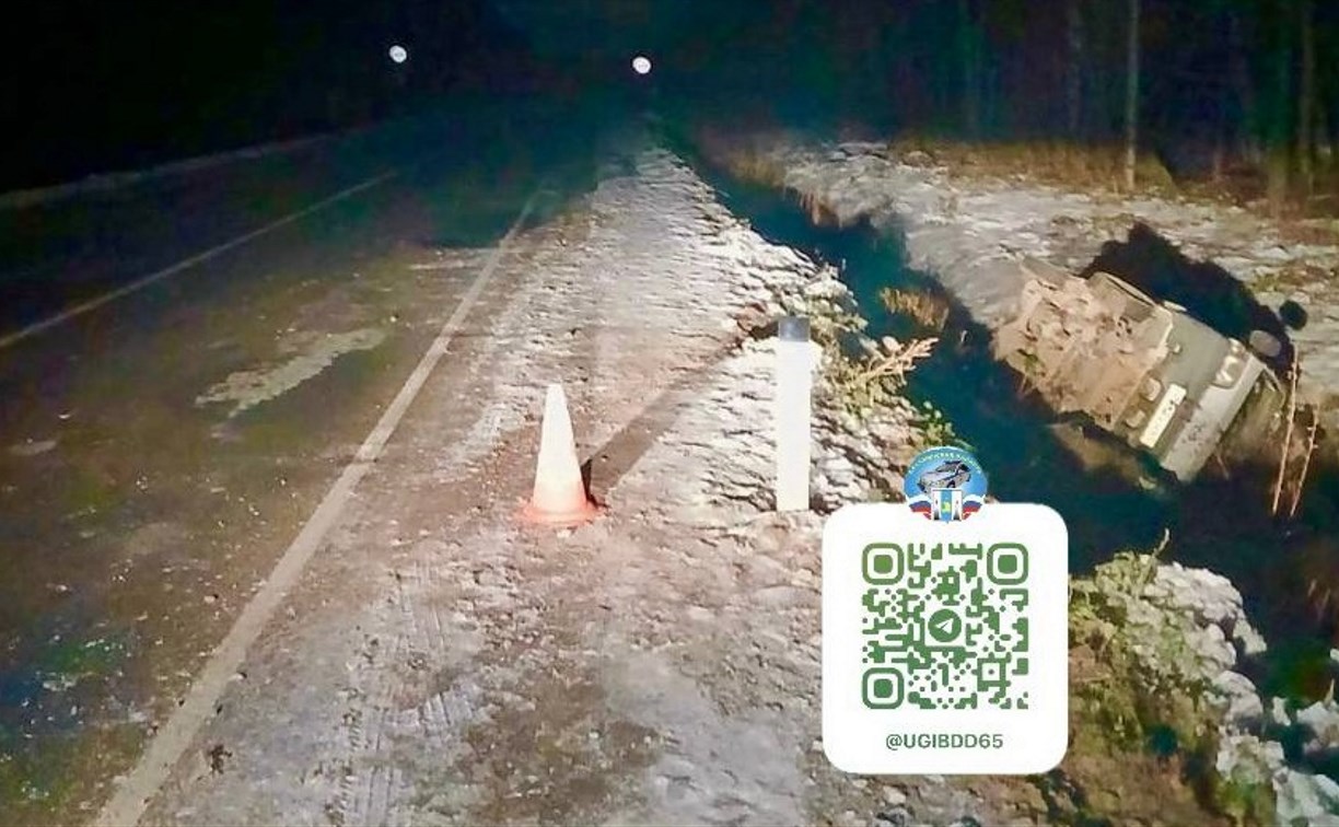 Сахалинка пострадала по вине пьяного пенсионера — он улетел в кювет на микроавтобусе Сахалинка пострадала по вине пьяного пенсионера — он улетел в кювет на микроавтобусе