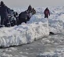 "Человек тонет": рыбак упал в море с оторвавшейся у берегов Сахалина льдины