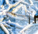 "Уже бабушку оформляют": очень вежливый инспектор Рыбоохраны попался рыбакам на Сахалине 