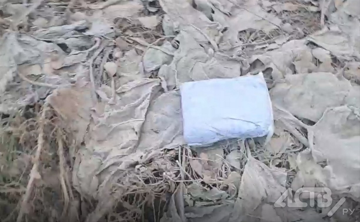Загадочными пакетами с неизвестным содержимым засыпали улицу в Южно-Сахалинске 