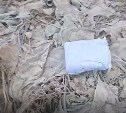 Загадочными пакетами с неизвестным содержимым засыпали улицу в Южно-Сахалинске 