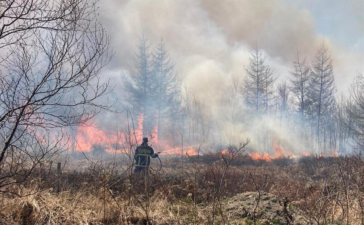 Площадь природного пожара в Анивском районе увеличилась вдвое