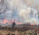 Площадь природного пожара в Анивском районе увеличилась вдвое