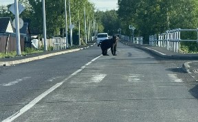 Происшествия