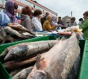 Жители Сахалинской области будут сами контролировать цены на рыбопродукцию