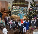 Более 70 сахалинских семей поделились новогодними игрушками с краеведческим музеем 