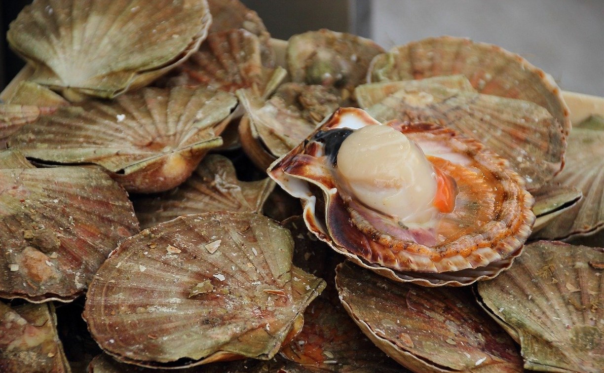 Сахалинец обчистил склад морепродуктов из-за невыплаченной зарплаты 