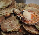 Сахалинец обчистил склад морепродуктов из-за невыплаченной зарплаты 