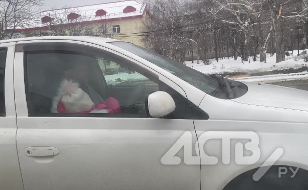 Очевидец: мужчина с младенцем на руках ехал за рулём автомобиля в Южно-Сахалинске