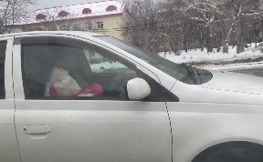 Происшествия