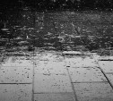 Очень сильные дожди обрушатся на Сахалин