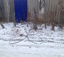 Провисшие провода пугают жителей переулка Медицинского в Южно-Сахалинске 