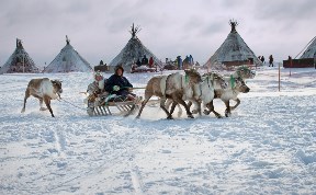 Общество