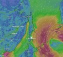 Циклон с дождями и ураганным ветром может подойти к Сахалинской области