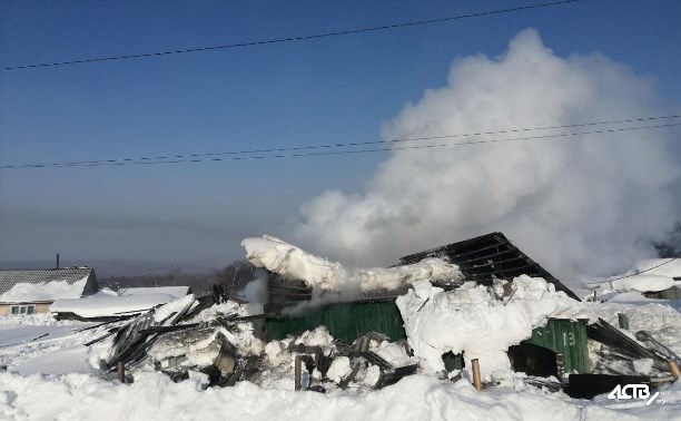 Грибная ферма с американским оборудованием и котом сгорела в Тымовском