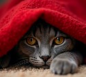 Часть Южно-Сахалинска 8 октября останется без отопления