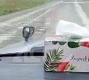 "Просто стиральная доска": сахалинка показала на видео тернистый путь до села Озёрского