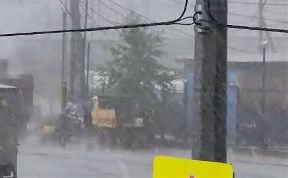 Общество