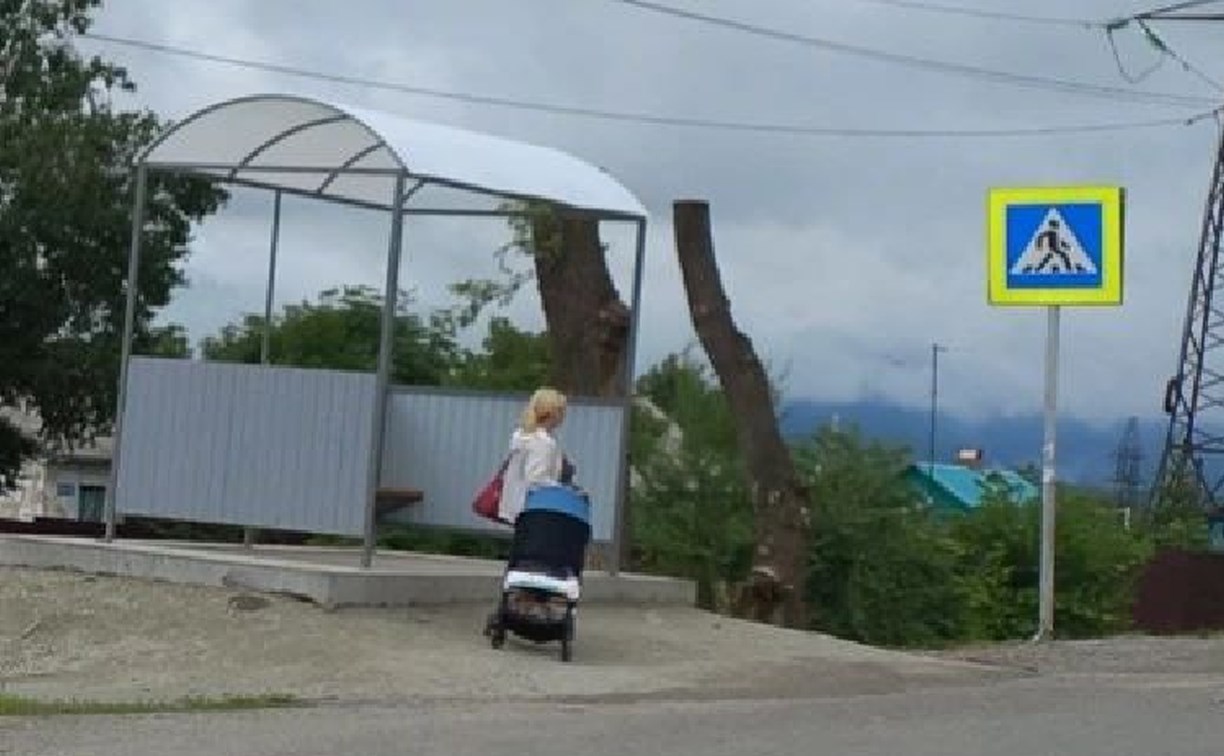 Автобусные остановки для великанов появились в Приморье