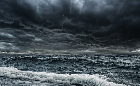 Общество