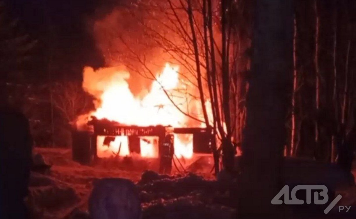 Погорельцы из Ключей ищут временное пристанище для себя и своих питомцев