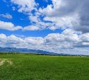 В начале недели до +20°, в конце циклон принесет дожди: погода в предстоящие 7 дней в Сахалинской области 