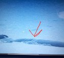 "Есть!": горбатого кита, которого отправились спасать сахалинцы, избавили от сети
