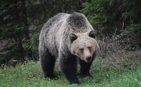 Происшествия