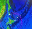 Землетрясение магнитудой 4,2 произошло у берегов Курил