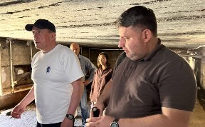 Общество
