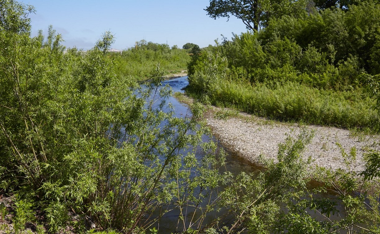 Прогулочная тропа вдоль реки Красносельской появится в Луговом до конца июля