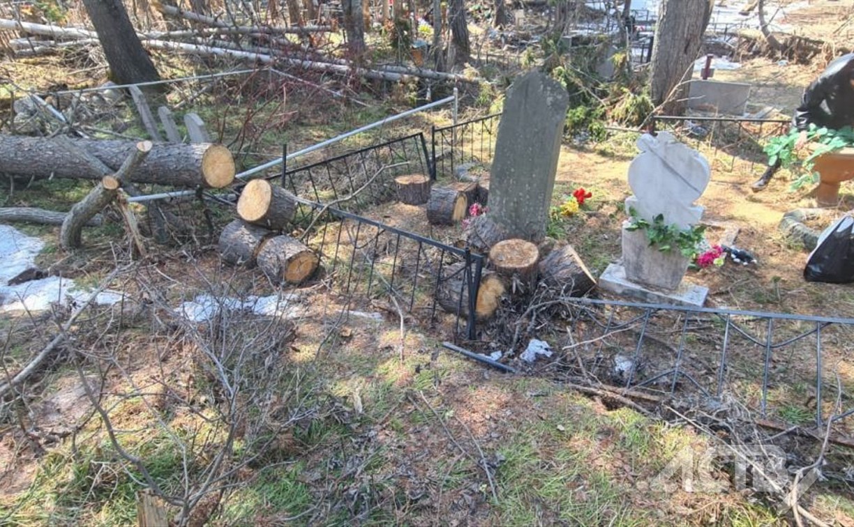 Неизвестные повалили деревья на кладбище в Южно-Сахалинске и повредили оградки