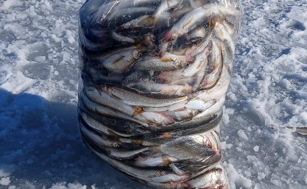 Несмотря на качающийся лед, сахалинцы вышли на рыбалку в Стародубском 