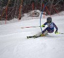 Южносахалинские горнолыжники взяли шесть из восьми медалей областного кубка