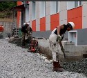 Территорию "Золотого петушка" в Корсакове благоустроят к осени