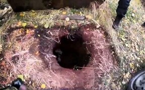 Общество