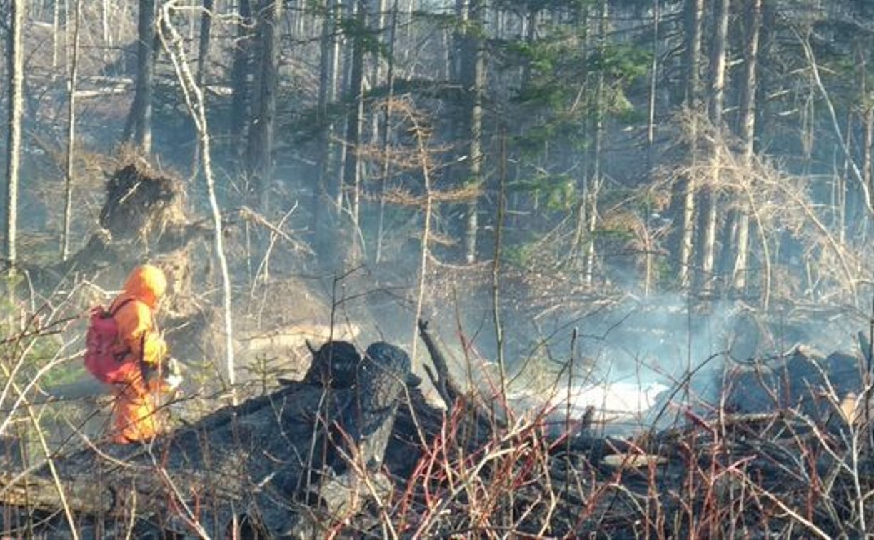Два пожара потушили в корсаковском лесу