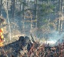 Два пожара потушили в корсаковском лесу