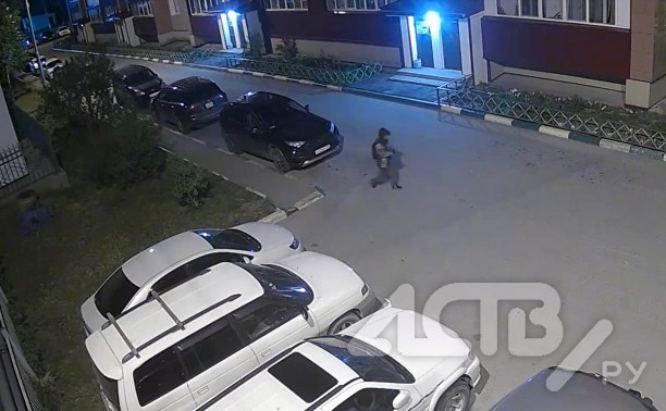 Ночной вор, обчищающий автомобили в Новоалександровске, попал на видео