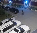Ночной вор, обчищающий автомобили в Новоалександровске, попал на видео
