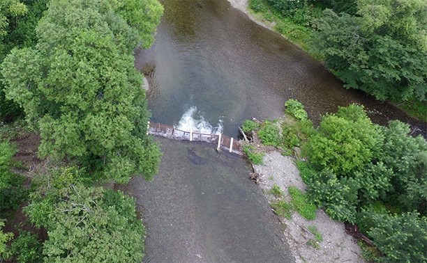 «Эковахта Сахалина»: коммерсанты лишают реку в Корсаковском районе нерестовой горбуши