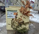 Вот почему зима не уходит: южносахалинцы до сих пор не выбросили новогодние елки 