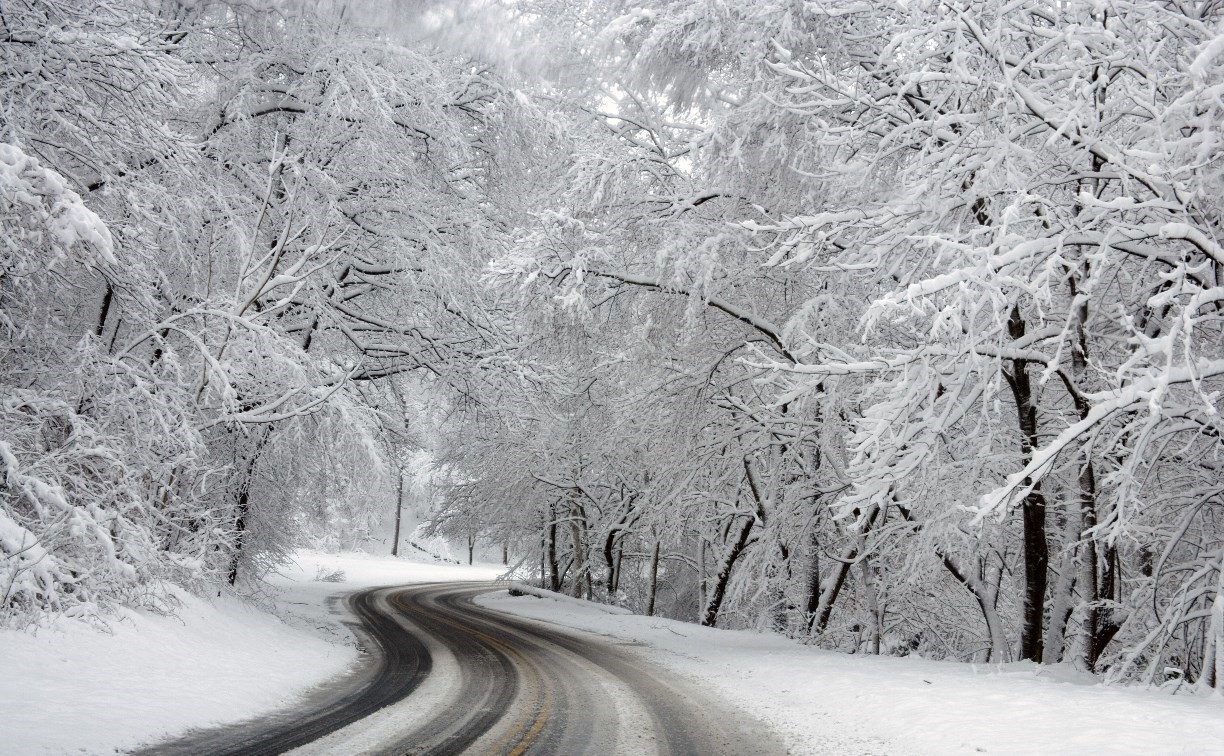 Еще одно ограничение для междугороднего автобусного сообщения снято на Сахалине