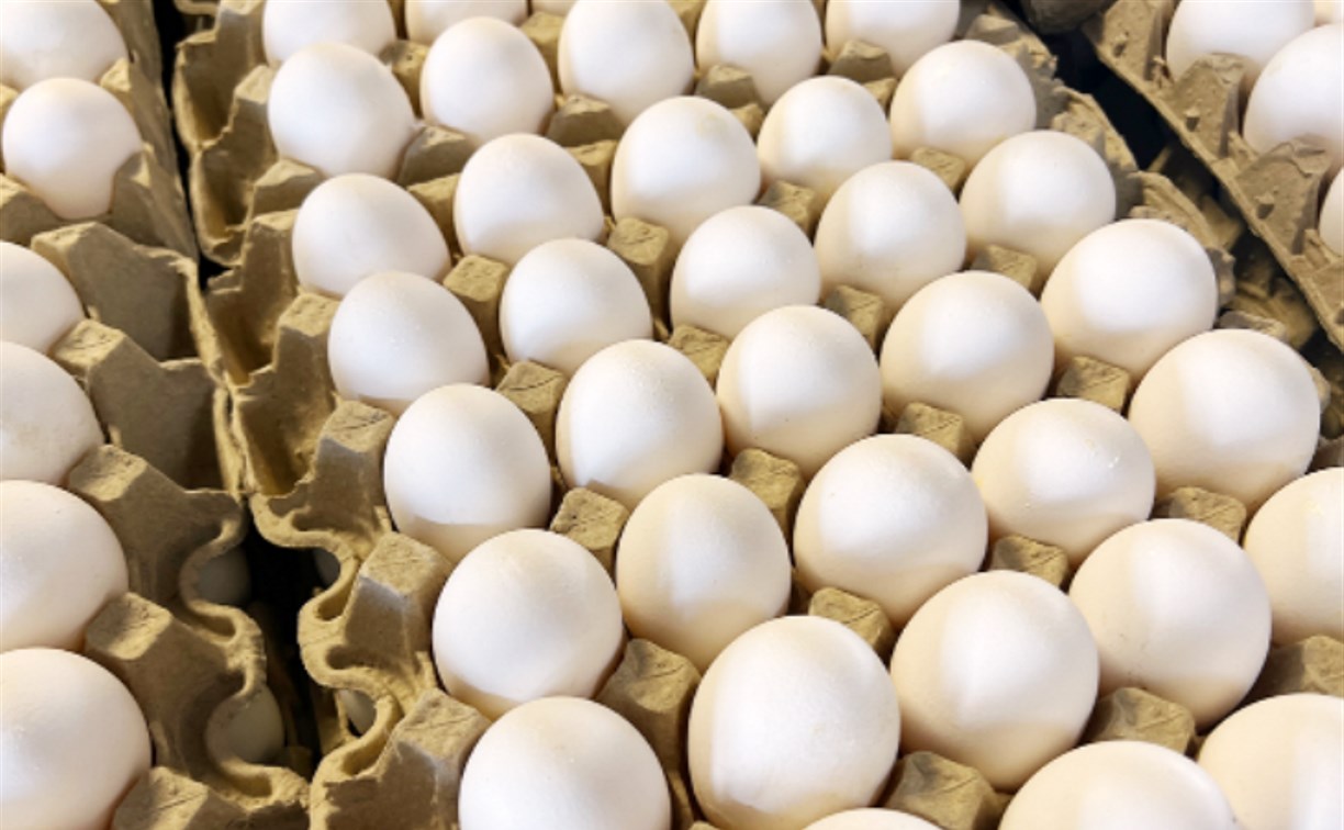 Птицефабрика "Островная" сообщила, что пока не готова закрыть потребности региона в яйце
