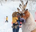 В Южно-Сахалинске отпразднуют Всероссийский день снега