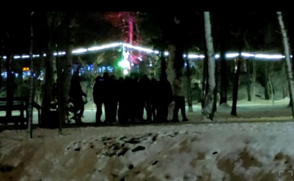 Толпа граждан устроила потасовку в парке Южно-Сахалинска